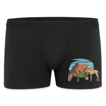 Jument et son poulain - Boxer Homme - noir - Devant