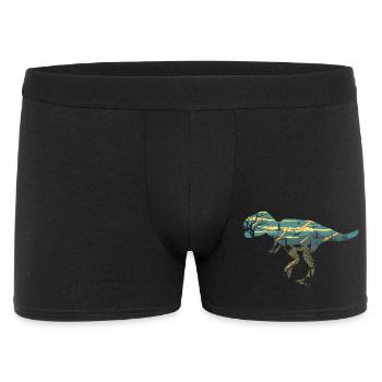 T Rex Dinosaur Extinction Scene T Shirt Design - Men's Boxer Shorts - black - Front