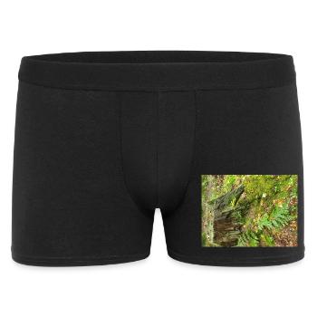 Autumn Forest - Men's Boxer Shorts - black - Front