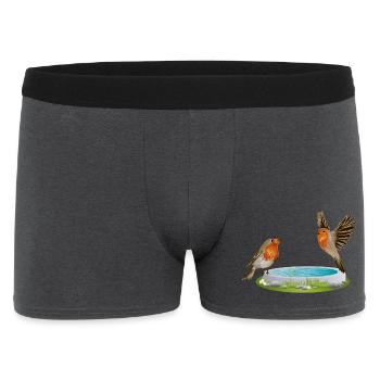 Bird potions with two fun robins - Men's Boxer Shorts - charcoal grey - Front