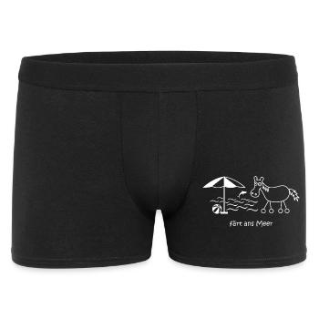 en bord de mer, cheval avec roues, vacances, voyage - Boxer Homme - noir - Devant