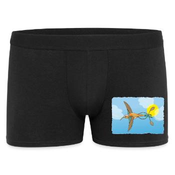 The hummingbird - Men's Boxer Shorts - black - Front