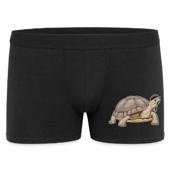 Schildkröte Maler Pinsel Malen - Männer Boxer Shorts - Schwarz - Vorne