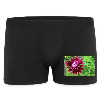 Dahlie, Blume, Blüte rot - Männer Boxer Shorts - Schwarz - Vorne
