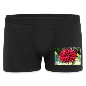 Dahlie rot Blüte ,Blume - Männer Boxer Shorts - Schwarz - Vorne