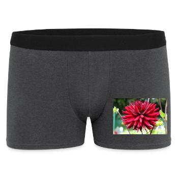 Dahlia Red Blossom ,Flower - Men's Boxer Shorts - charcoal grey - Front