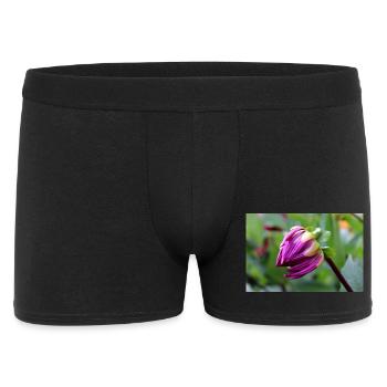 Dahlia Red Violet Blossom ,Flower - Men's Boxer Shorts - black - Front