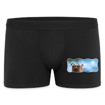 Conception photo moineaux rencontre courbe contour - Boxer Homme - noir - Devant