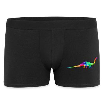 Bunter Langhals Dinosaurier aus Polygonen  - Männer Boxer Shorts - Schwarz - Vorne