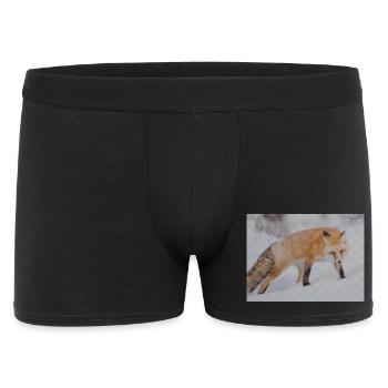 Schnee-Fuchs Pixelkunst - Männer Boxer Shorts - Schwarz - Vorne