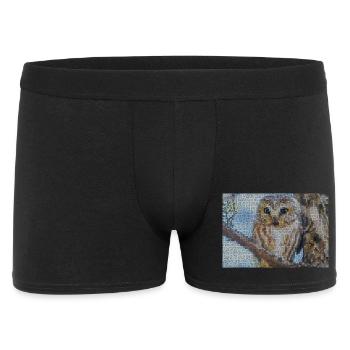 Nächtliche Eulen-Mosaik - Männer Boxer Shorts - Schwarz - Vorne