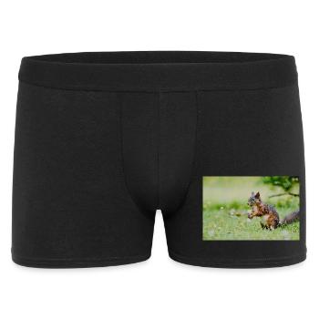 Squirrel Mosaic in the grass field - Men's Boxer Shorts - black - Front