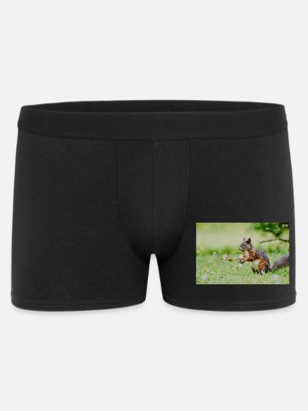 Squirrel Mosaic in the grass field - Men's Boxer Shorts - black