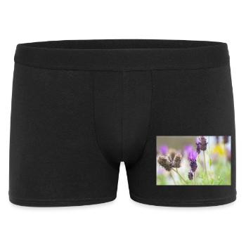 Delicate Lavender in Bloom - Men's Boxer Shorts - black - Front