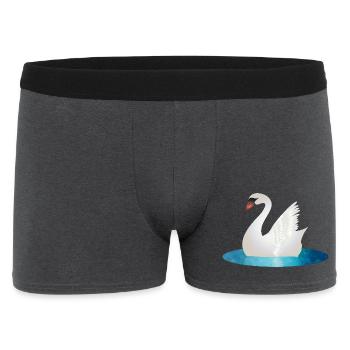 Shimmering swan with raised wings - Men's Boxer Shorts - charcoal grey - Front