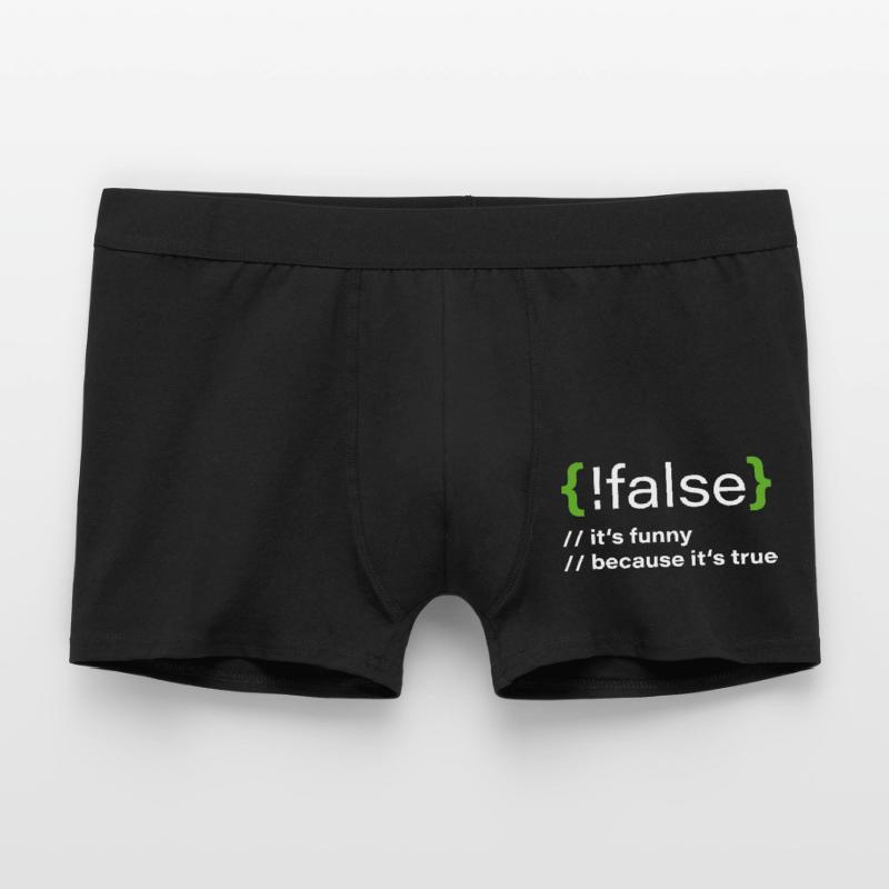 false – Lustiger Programmierer Spruch Männer Boxer Shorts