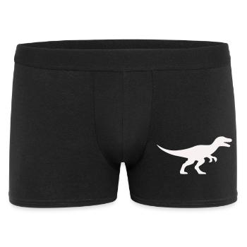 Raptor T Rex Silhouette - Men's Boxer Shorts - black - Front