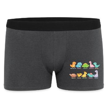 Troupe de dinosaures colorés Mignons dinosaures - Boxer Homme - charbon - Devant
