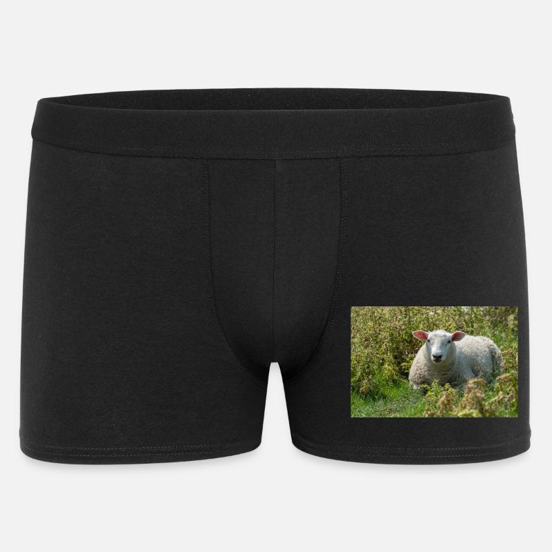 Moutons allongés dans l’herbe - Affiche - Boxer Homme - noir