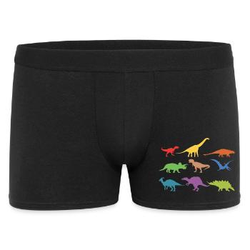 Dinosaurier Dino Regenbogen Geschenk - Männer Boxer Shorts - Schwarz - Vorne