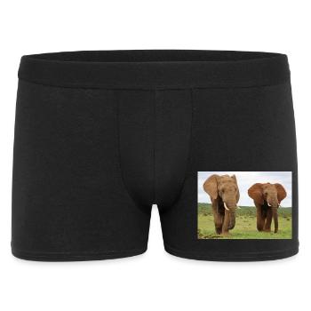 Two elephants on savannah - Men's Boxer Shorts - black - Front