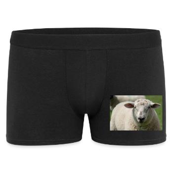 Close-up of a sheep - Men's Boxer Shorts - black - Front