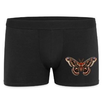 Cecropia Moth Hyalophora cecropia - Men's Boxer Shorts - black - Front