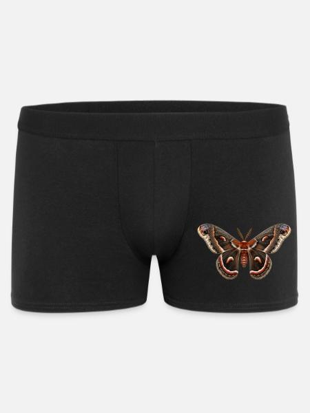 Cecropia Moth Hyalophora cecropia - Männer Boxer Shorts - Schwarz