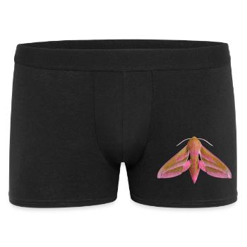 Elephant Hawk Moth Deilephila elpenor - Men's Boxer Shorts - black - Front