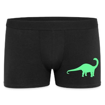 Neon Dino Silhouette - Männer Boxer Shorts - Schwarz - Vorne
