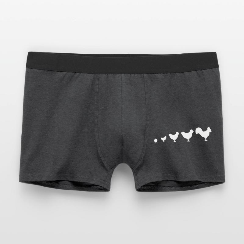 Evolution Bauer Huhn Hahn lustig Männer Boxer Shorts
