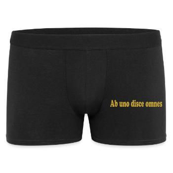 ab uno disce omnes Citation latine Latein - Boxer Homme - noir - Devant