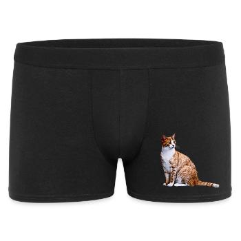 Chat Chat Chat Cat Cats Amour de chat - Boxer Homme - noir - Devant