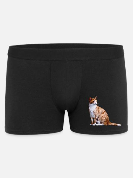Cat Cats Cat Cats Cat Love - Men's Boxer Shorts - black