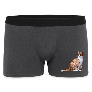 Katze Katzen Katze Cat Cats - Men's Boxer Shorts - charcoal grey - Front