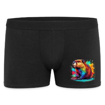 Bieber - Männer Boxer Shorts - Schwarz - Vorne
