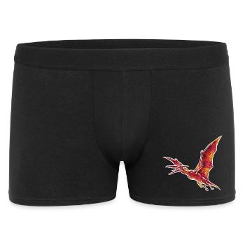Elektrischer Pterodaktylus Fliegender Dinosaurier - Männer Boxer Shorts - Schwarz - Vorne