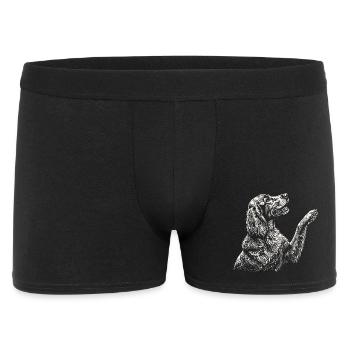 Irischer Zuspieler zieht Pfote hoch – Roter Zuspieler Hund Mama Papa - Männer Boxer Shorts - Schwarz - Vorne