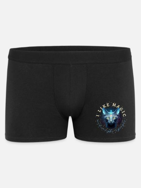I Like Magic And Maybe 3 People - Men's Boxer Shorts - black