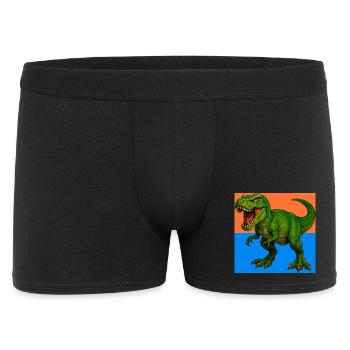 dinosaure - Boxer Homme - noir - Devant