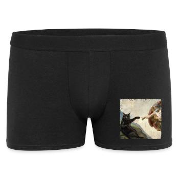 Chat gifle la main de Dieu Mème des chats drôles - Boxer Homme - noir - Devant