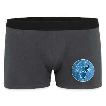Signe astrologique : taureau - Boxer Homme - charbon - Devant