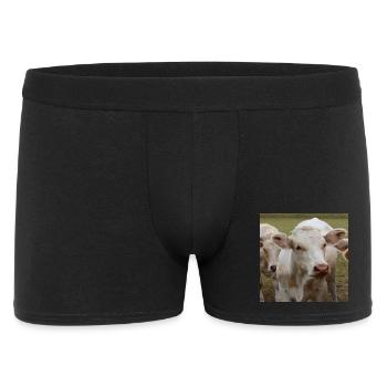 Kuh Poster - Männer Boxer Shorts - Schwarz - Vorne