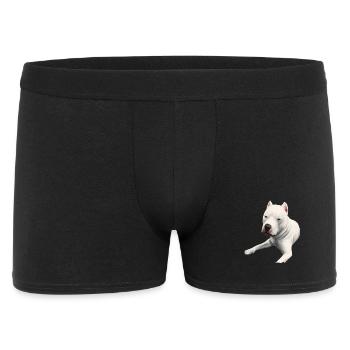Dogo Argentino Dog Watercolor Art Illustration - Men's Boxer Shorts - black - Front