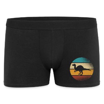 Dino Dinosaurs - Men's Boxer Shorts - black - Front