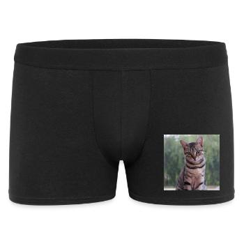 Chat chaton affiche chat carré affiche - Boxer Homme - noir - Devant