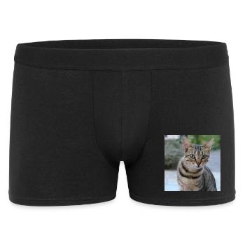 Katze Kätzchen Poster quadratisch Katzenposter - Männer Boxer Shorts - Schwarz - Vorne