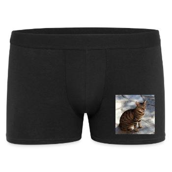 Katze Kätzchen Poster quadratisch Katzenposter - Männer Boxer Shorts - Schwarz - Vorne