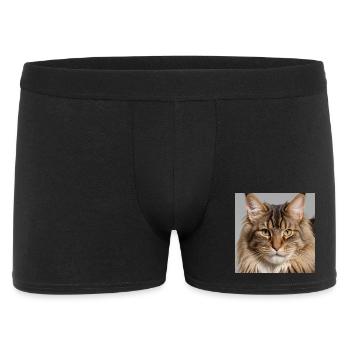 Maine Coon, die Raubkatze - Männer Boxer Shorts - Schwarz - Vorne