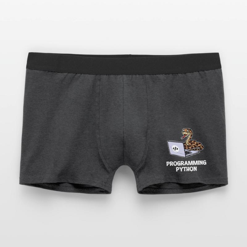 Scripting Programmer Computer Debug Developer Men's Boxer Shorts